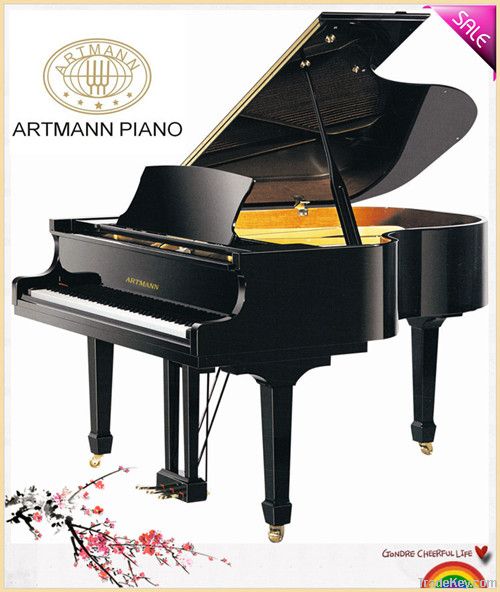 Reasonable Price Glossy Ebony Grand Piano GP170