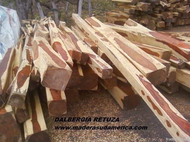 Red & Yellow Cocobolo Blocks from Panama