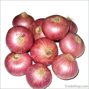 fresh red onion