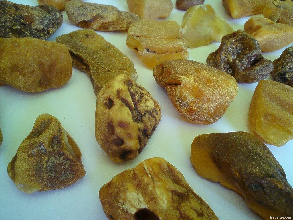 Raw SEA amber stones