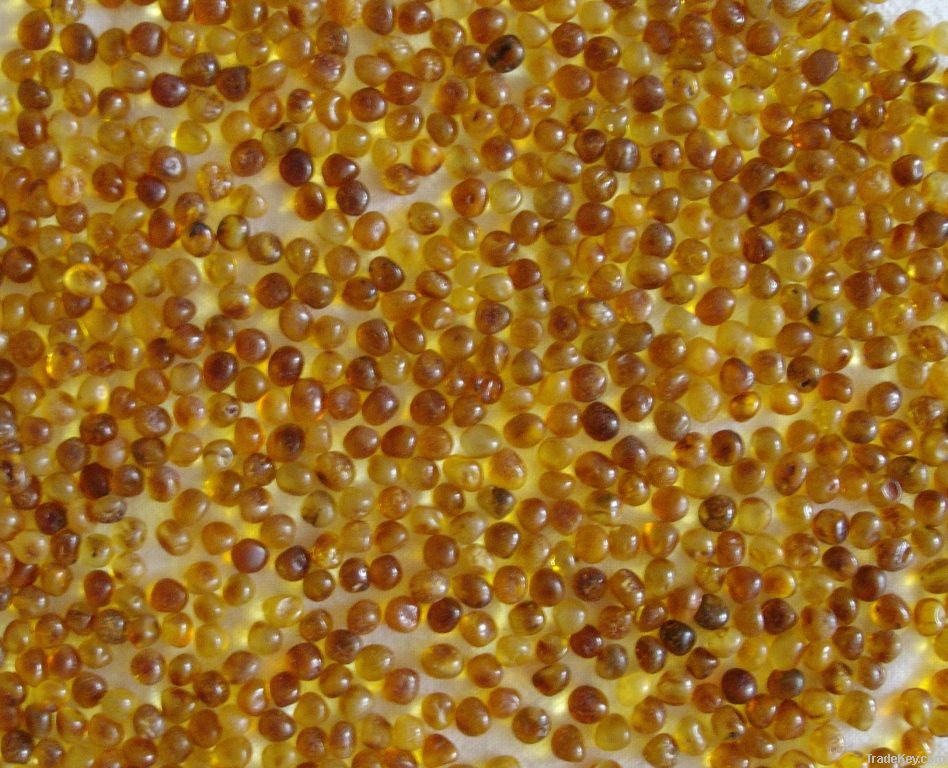 Undrilled loose Baltic amber baroque beads
