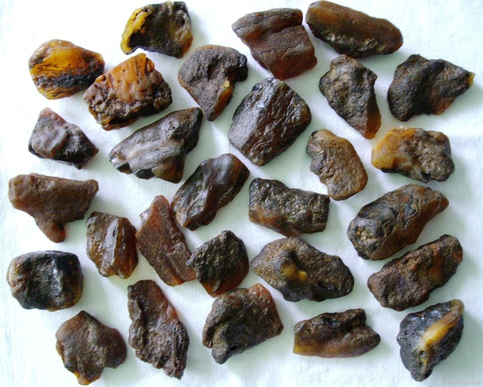 Raw baltic amber stones (black and yellow)