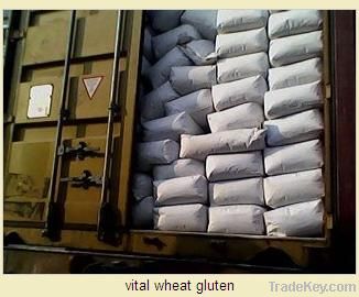 China Wheat Gluten