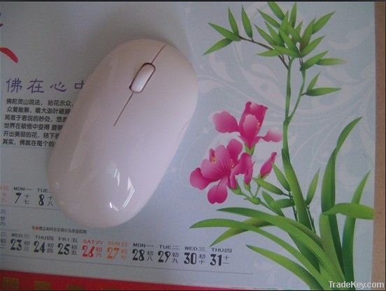apple mouse, optical mouse, mouse