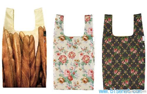 Promotional Bag/Shopping Bag/Gift Bag