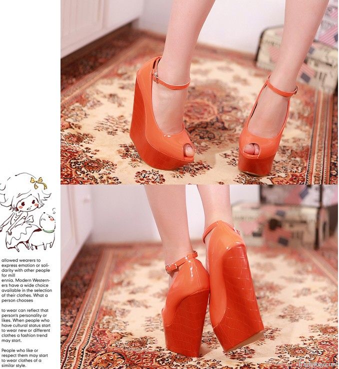 2012 new fashion high heel open toe women shoes