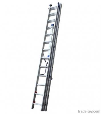 Extension ladder(3*13rungs)