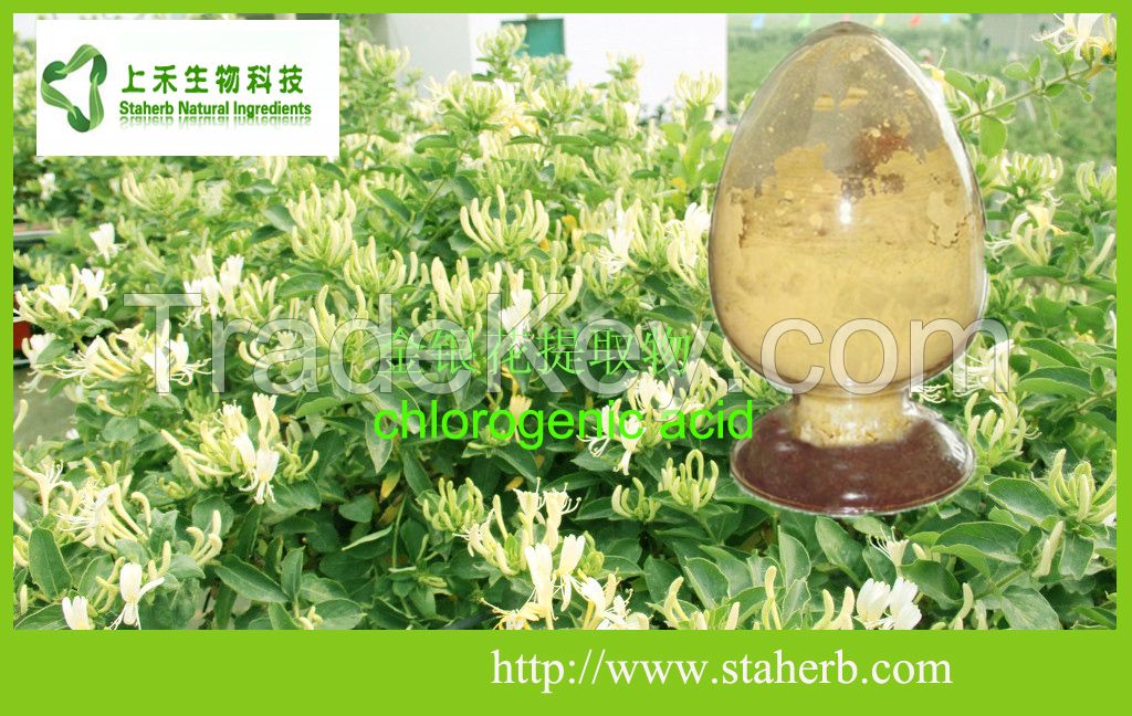 HoneySuchle Flowers Extract, chlorogenic acid5-99%