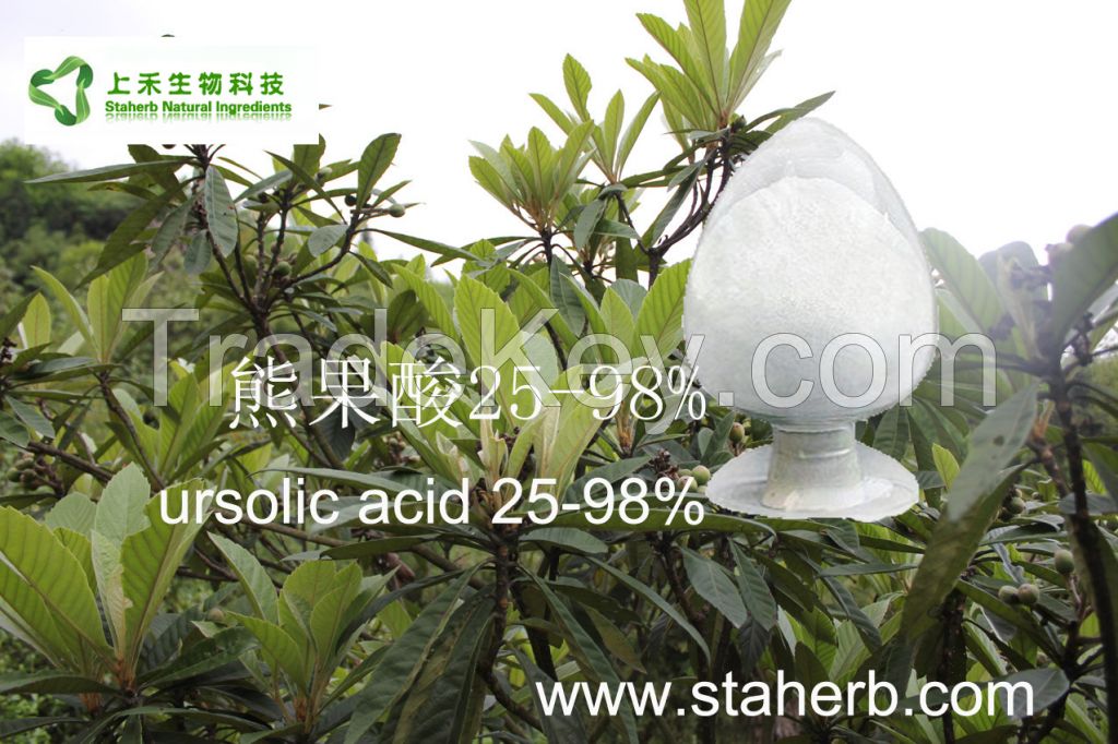 Ursolic acid 25-98%, Loquat leaf extract, Tung leaves extract, 77-52-1