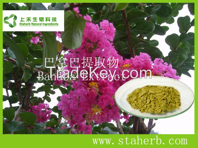 corosolic acid1-98% banaba leaf extract