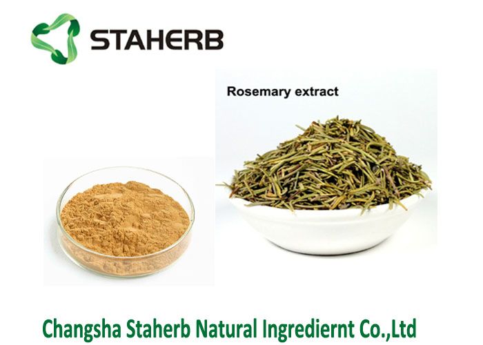 Rosmarinic acid 5-98% Rosemary leaf extract
