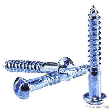 Steel Screws