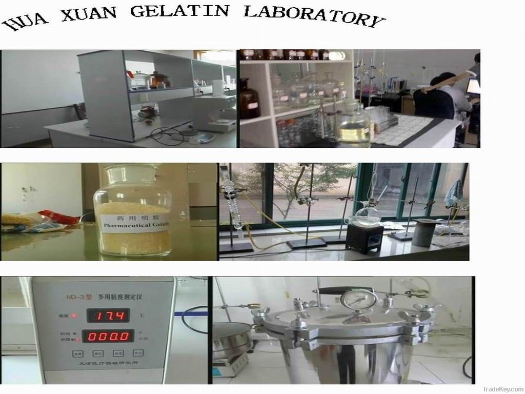 animal gelatin( 200bloom~250bloom) for food additive use