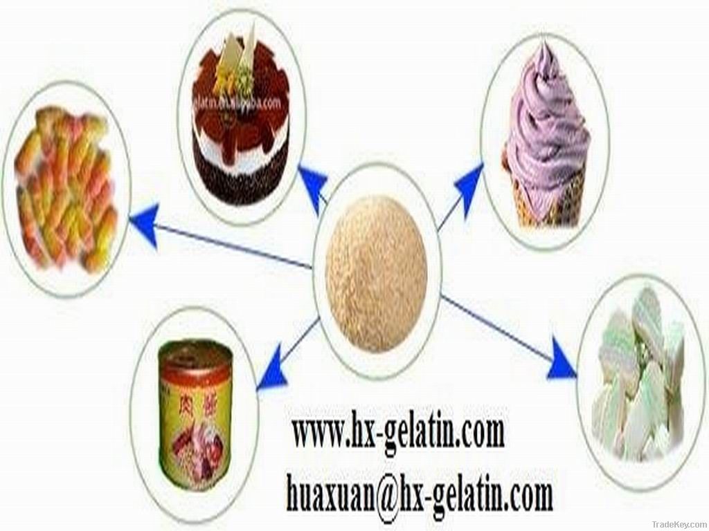 Food grade animal gelatin for confection use