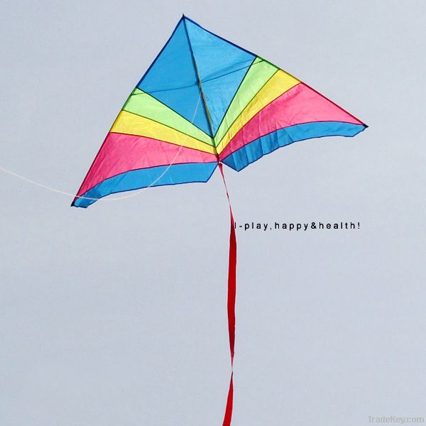 IP2H kite suits/Triangel kite+kite reel+kite line 170*100cm