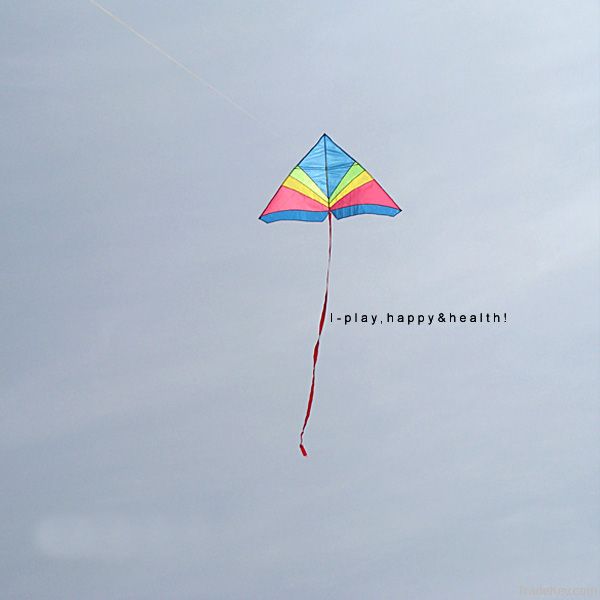 IP2H kite suits/Triangel kite+kite reel+kite line 170*100cm