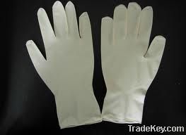 Latex Examination Glove powdered