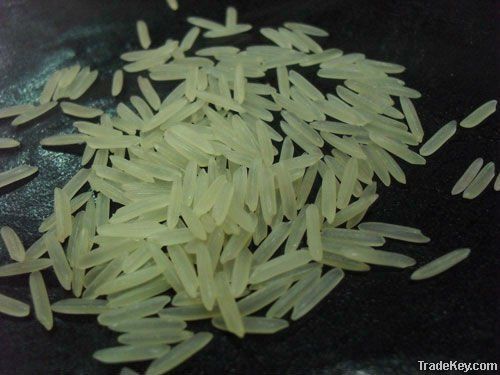 RICE SUPPLIER| PARBOILED RICE IMPORTERS | BASMATI RICE EXPORTER| KERNAL RICE WHOLESALER| WHITE RICE MANUFACTURER| LONG GRAIN TRADER| BROKEN RICE BUYER | IMPORT BASMATI RICE| BUY KERNAL RICE| WHOLESALE WHITE RICE| LOW PRICE LONG GRAIN