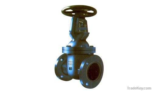 cast iron gate valve (BS)