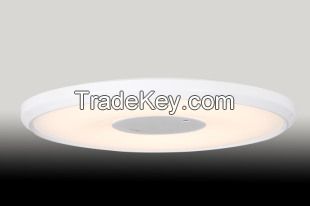 LED Ceiling Light