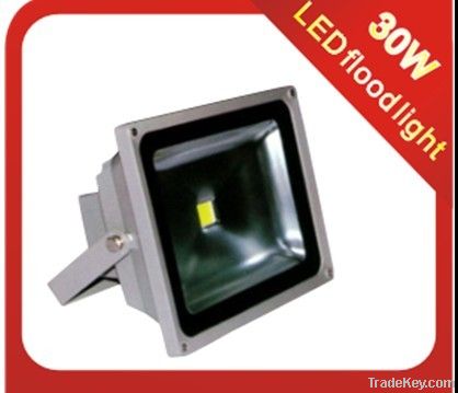 30W LED Floodlights