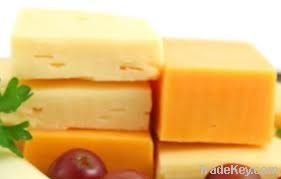 Cheddar-cheese