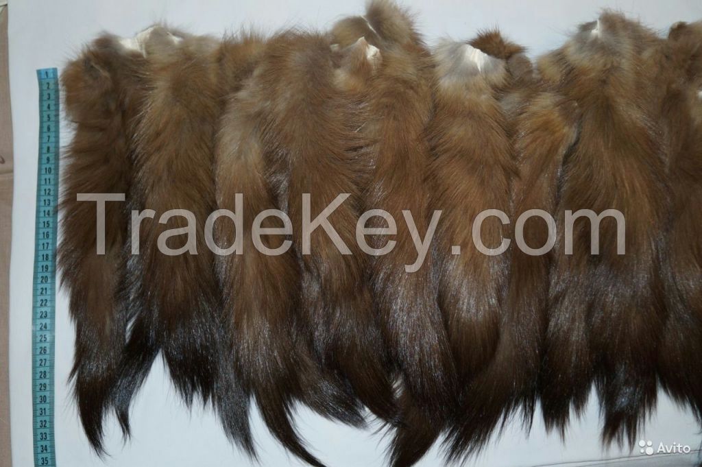 marten tails