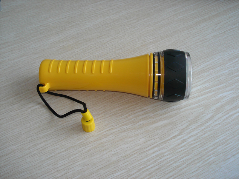 Diving torch