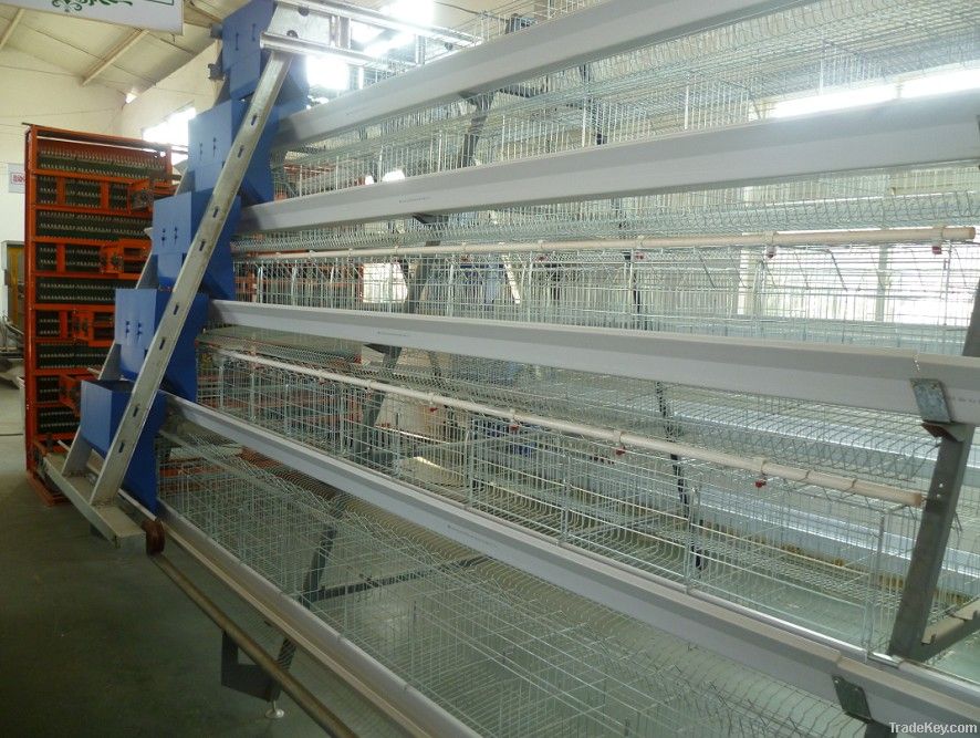 poultry farming equipment for layers