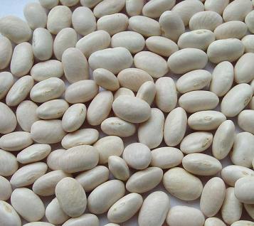 White Kidney Bean *****