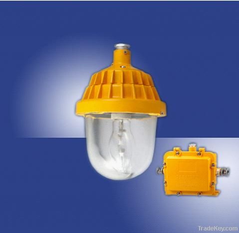 Fixed explosion-proof lighting series