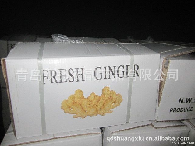fat ginger , China