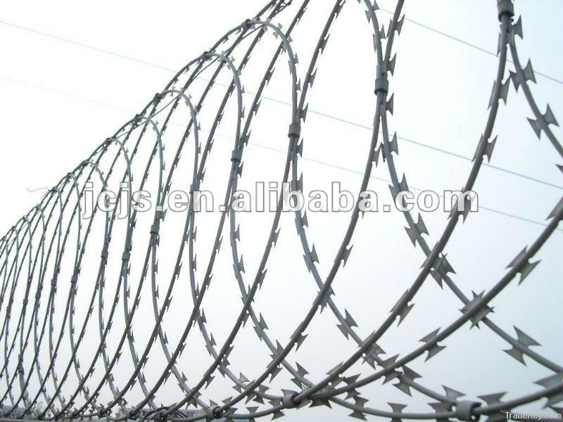 galvanized  Barbed wire