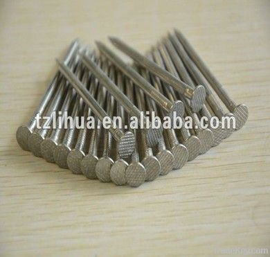 Stainless Steel  nail