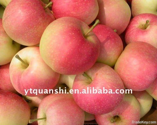 Yantai Quanshi New Season Red Gala Apple--Best Price