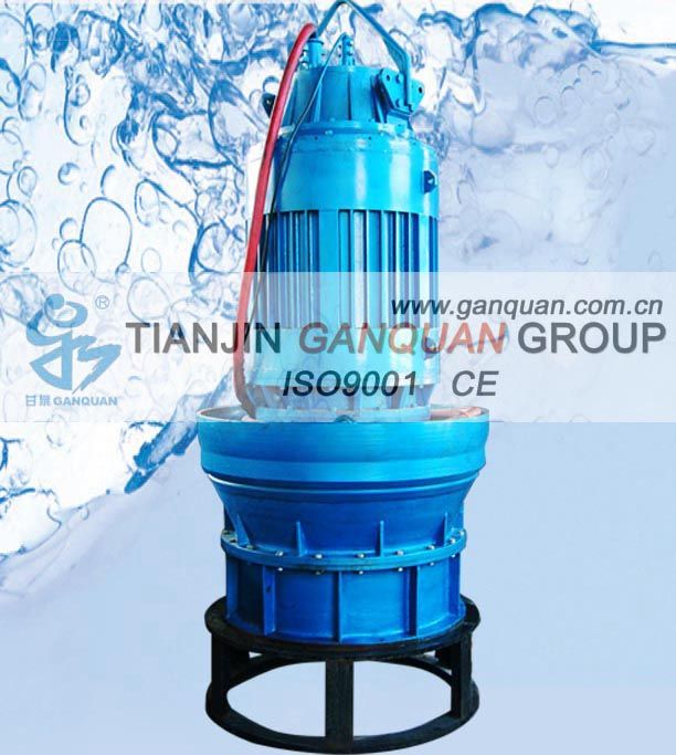 High Pressure Axial Flow Pump