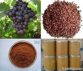 Natural Grape Seed Extract Proanthoc 30-95%