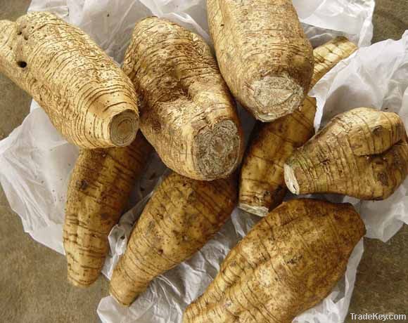 Natural Kudzu Root Extract radix puerarin flova 40%