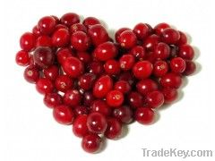 Natural Cranberry Extract Proanthocyanidins 5%-50%