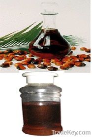 Palm Kernel Oil