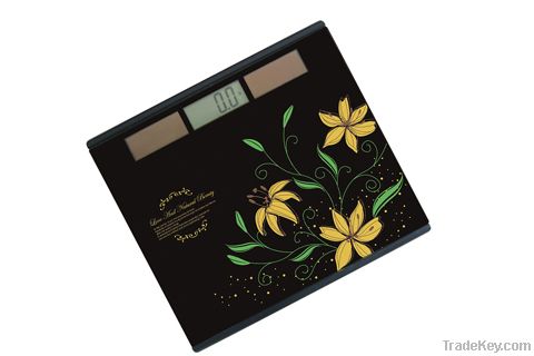 Solar Bathroom Scale