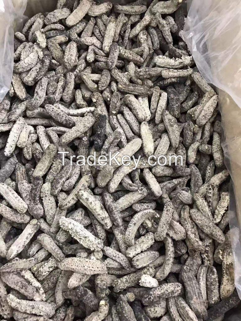 Wholesale price dried sea cucumber