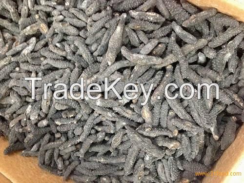 Wholesale price dried sea cucumber