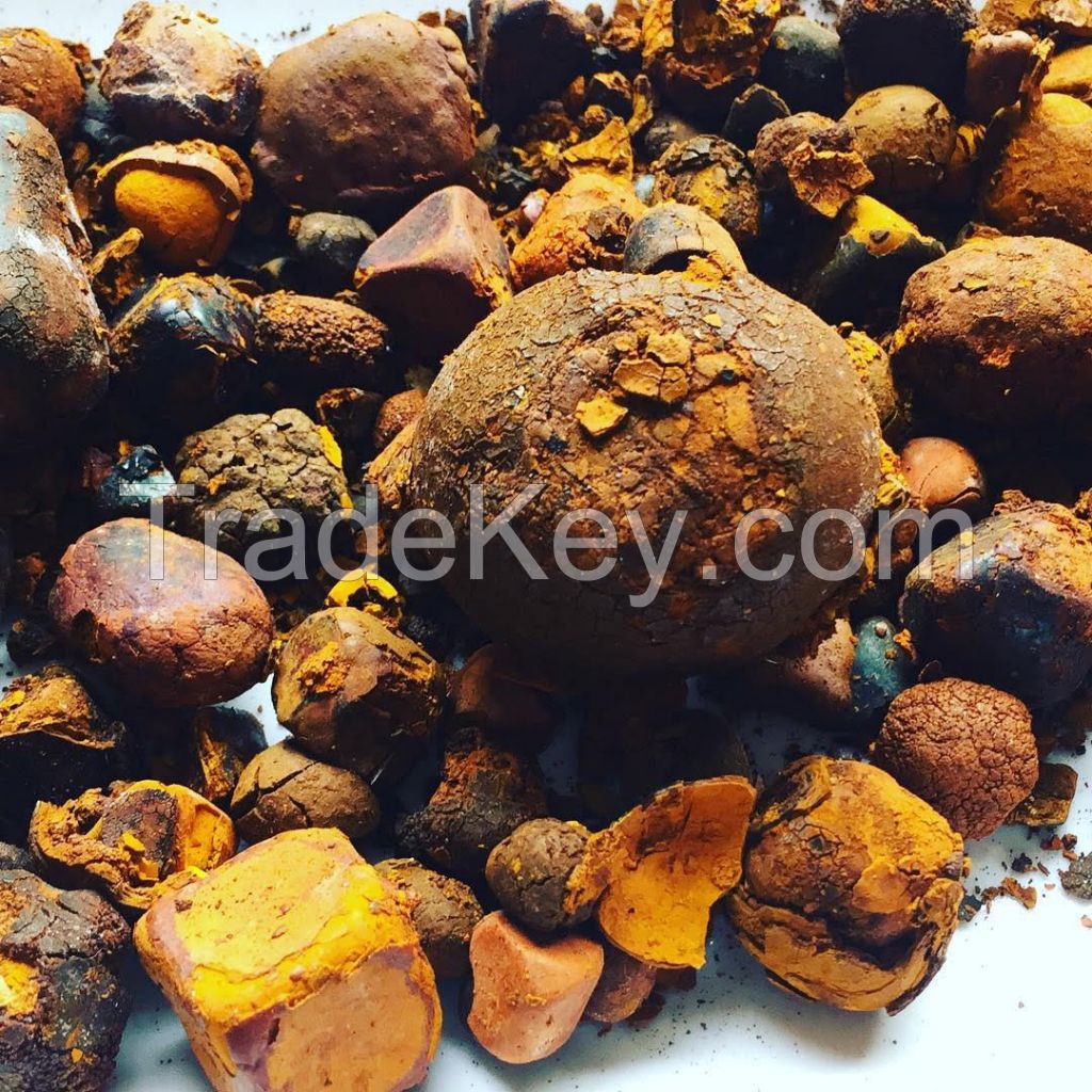 Good Quality Cow Gall Stones