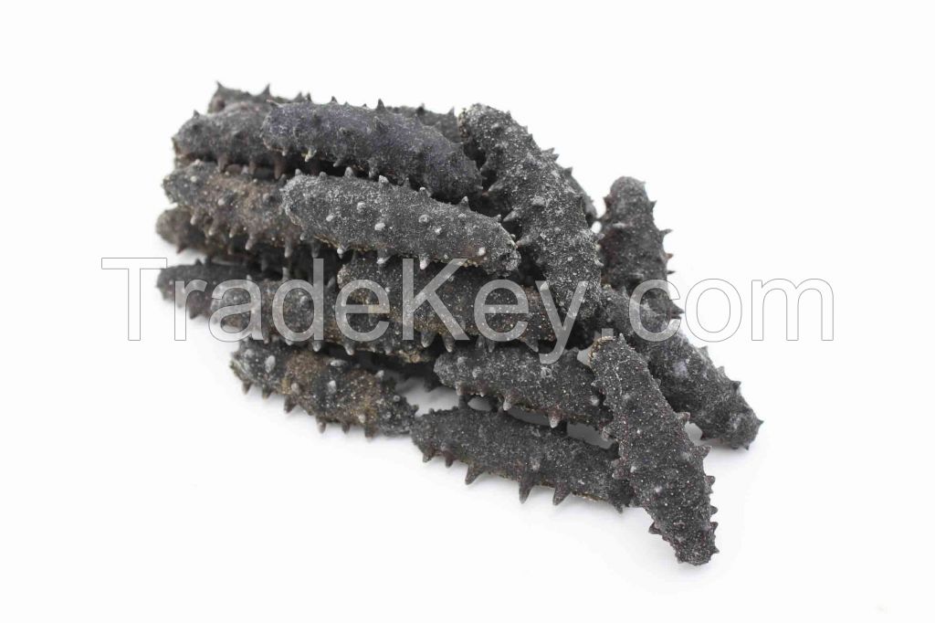 Wholesale price dried sea cucumber