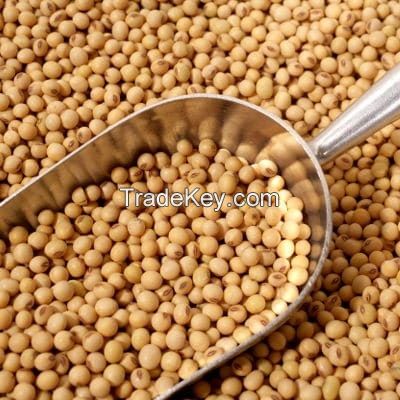 soybeans wholesale suppliers and manufacturers.