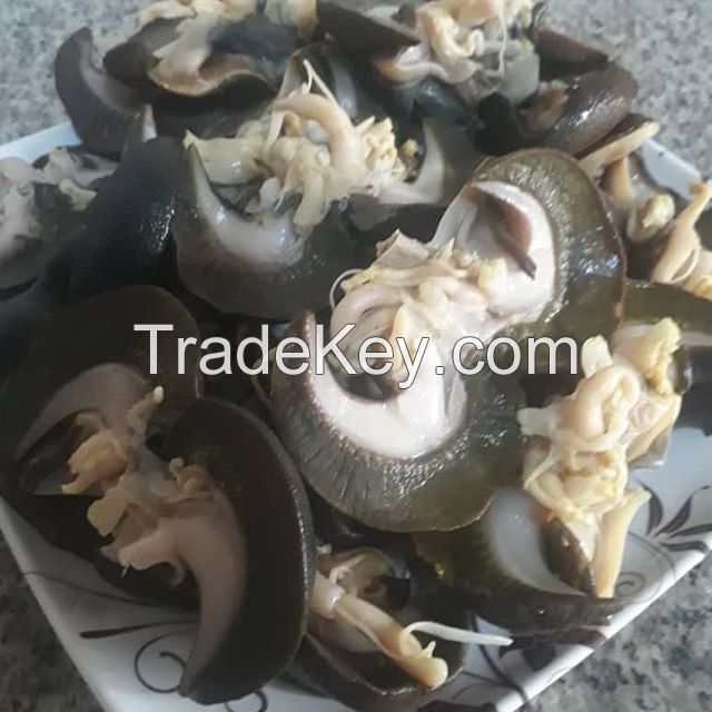 2021 Sales Cheapest price arrival Fresh African Giant Snails/Frozen, Dried & Alive Snails, GIANT AFRICAN SNAILS Discount price