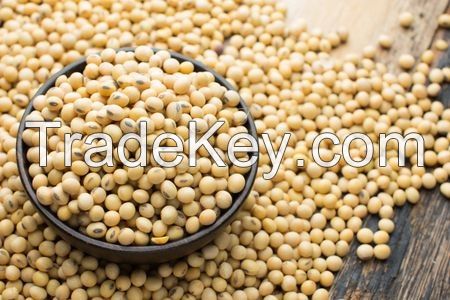 soybeans wholesale suppliers and manufacturers.