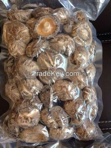 bulk wild natural fresh  whole meaty thick dried mushroom