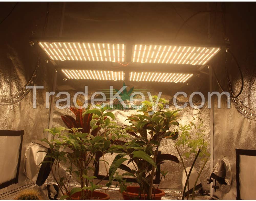 2020 Meijiu LM301H Grow Light Kit, Hydroponic Pre-Wired Rita Fang 550V3 288V3 LM301H Diy 480W LM301H Grow led Lights